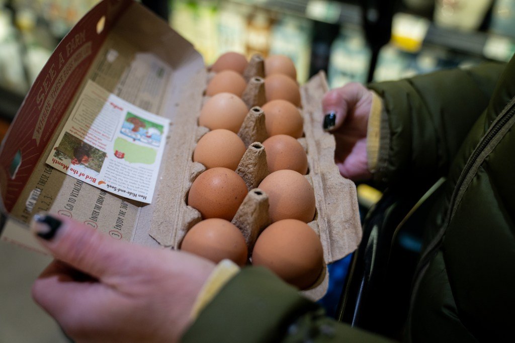 Chicago shopkeepers are looking at egg shortage and prices as $ 10.49 for a dozen
